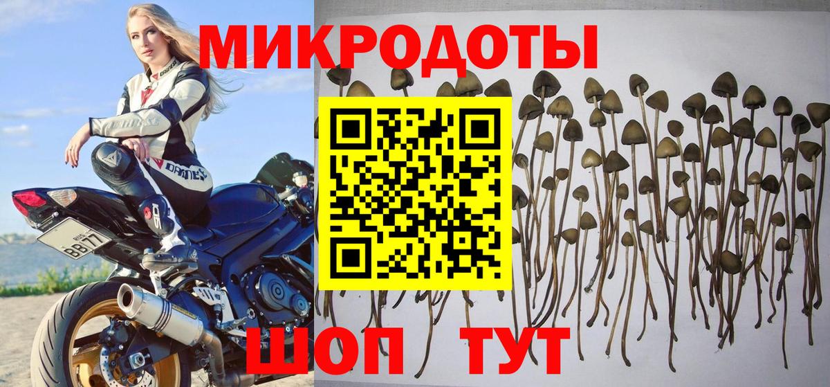 Галлюциногенные грибы MAGIC MUSHROOMS  Вход с VPN  Заводоуковск 