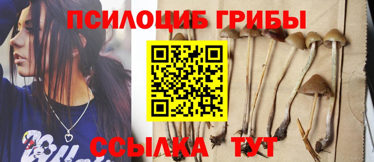 Codein Заводоуковск