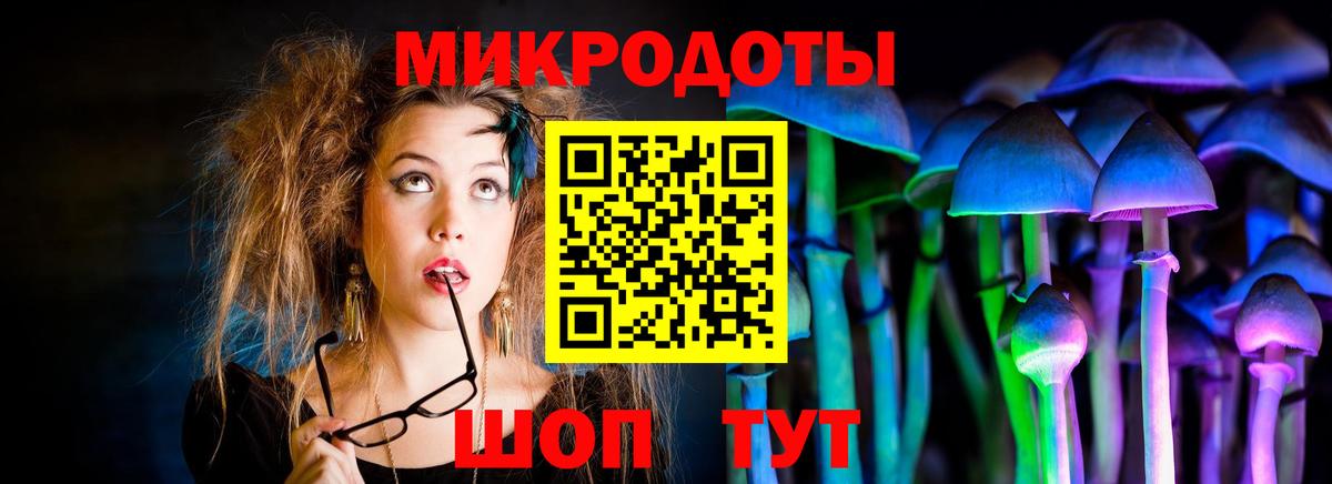Галлюциногенные грибы Psilocybine cubensis Заводоуковск